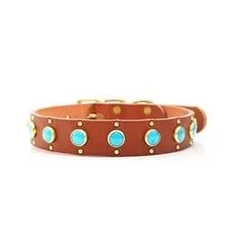Duke Turquoise Studded Collar tan gold
