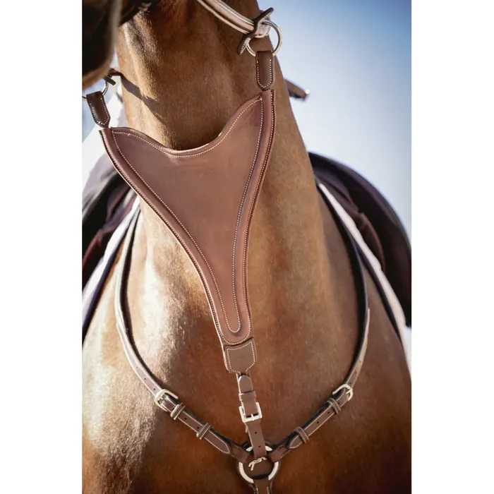 Elastic martingale shaft Pénélope Bip Plain