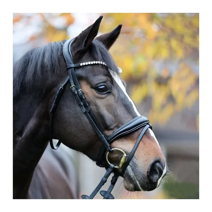 English-combined riding halter Kavalkade Juliana KavalSH9 [Size Full]
