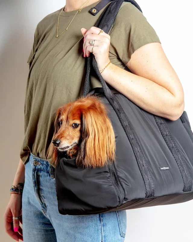 Everywhere Convertible Tote Bag Pet Carrier
