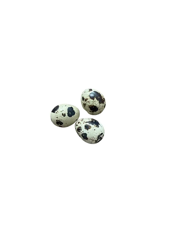 Farm Fresh Quail Eggs