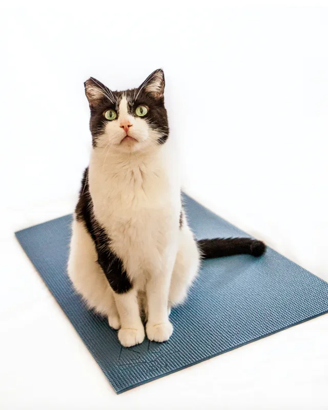 Feline Yogi Cat Mat (Made in the USA)