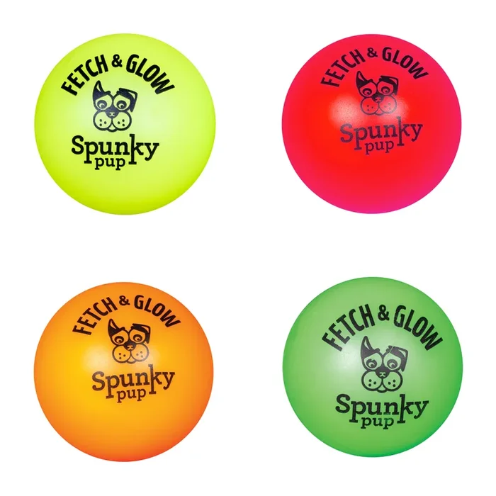 Fetch and Glow Ball Dog Toy – Large