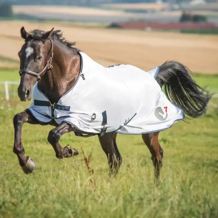 Fly Blanket HorSeven