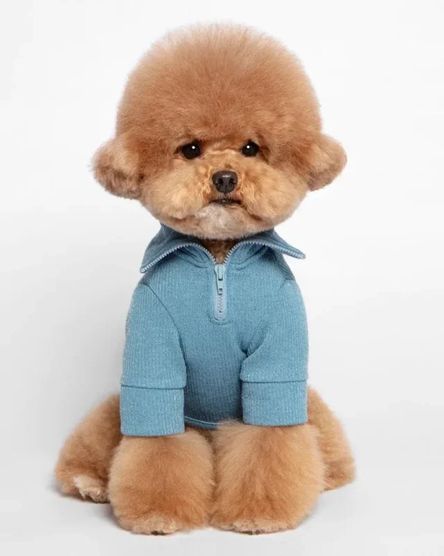 Foldover Half-Zip Dog Knit Sweater (FINAL SALE)