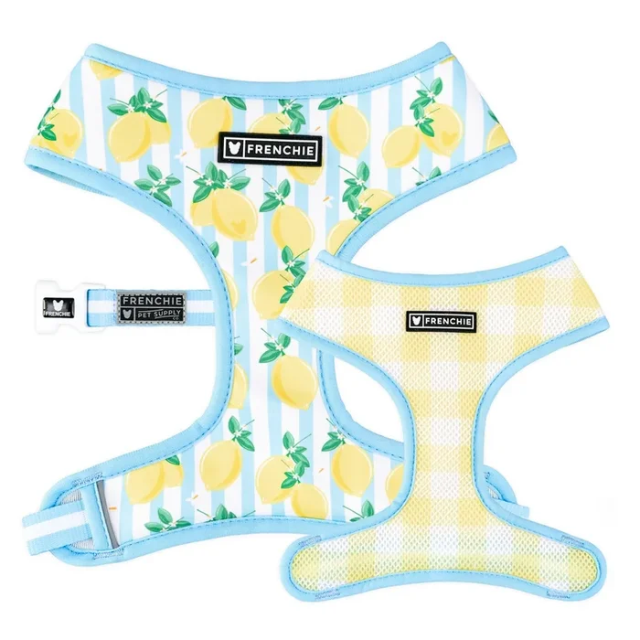 Frenchie Duo Reversible Harness – Lemon Tree