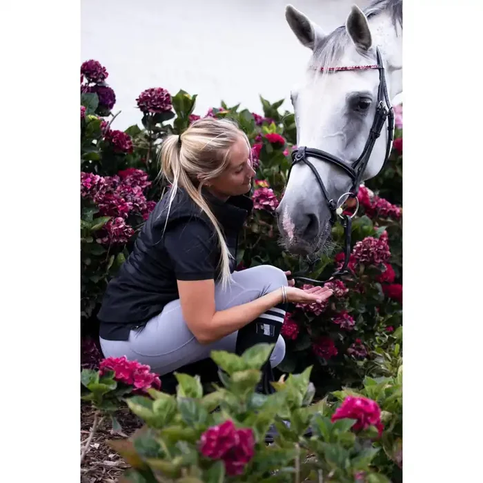 Frontal for horse HFI Straight + Strass