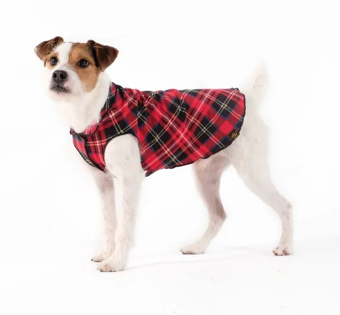 Gold Paw Single Layer Fleece Red Plaid