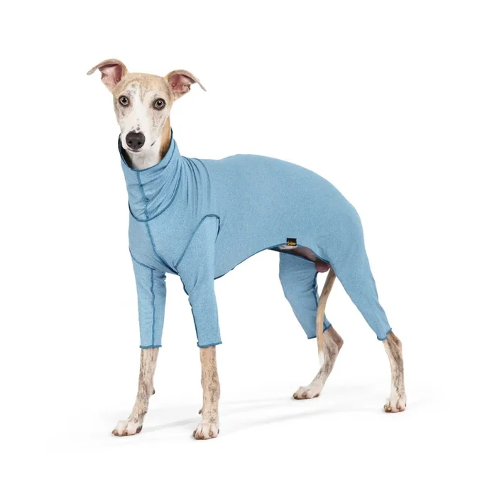 Gold Paw Sunsie Shield Dog Onesie – Ocean Blue