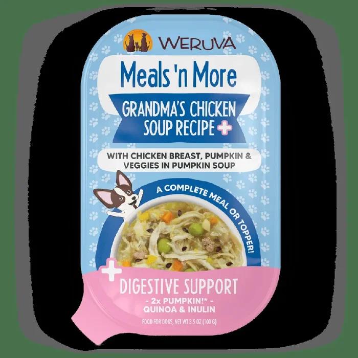 Grandma’s Chicken Soup Recipe Plus