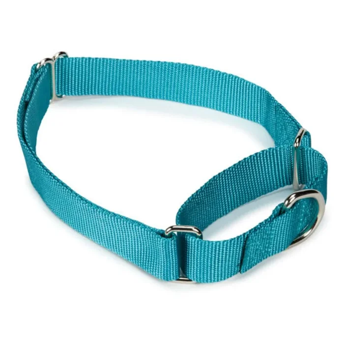 Guardian Gear Nylon Martingale Dog Collar – Bluebird