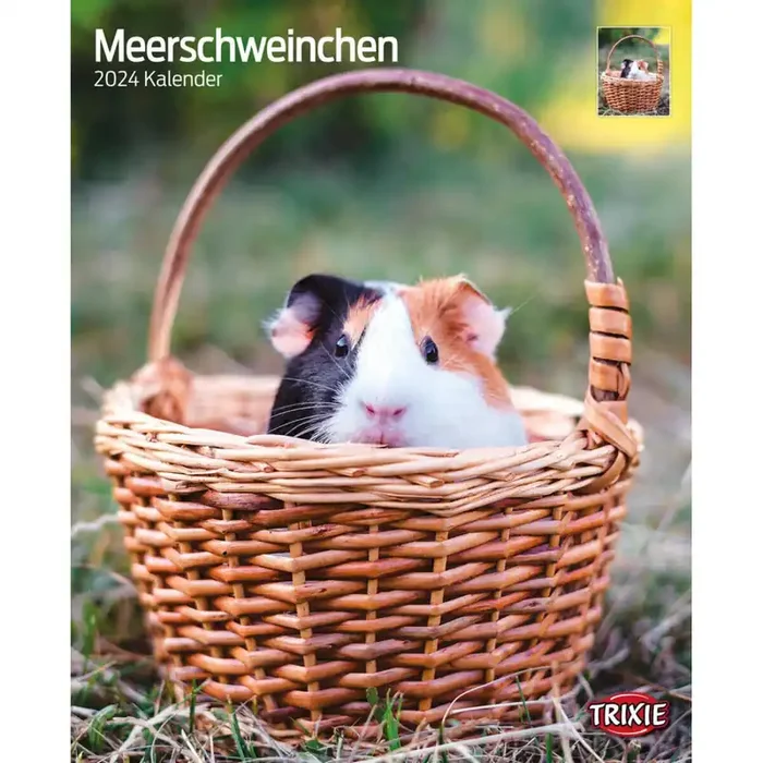 Guinea pig calendar Trixie [Size 350×430 mm]