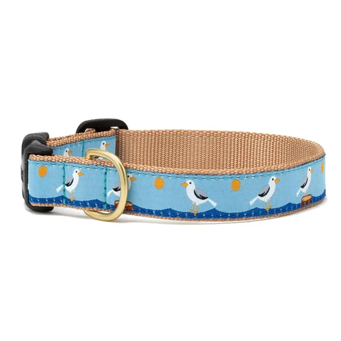 Gull Watch Dog Collar by Up Country