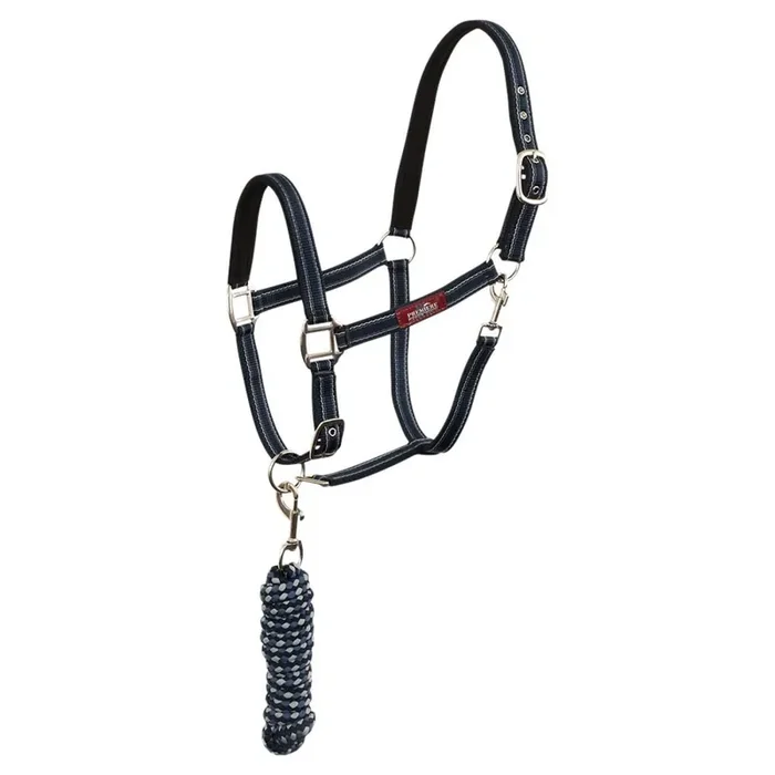 Halter and lead rope set for horse Premiere Equitation