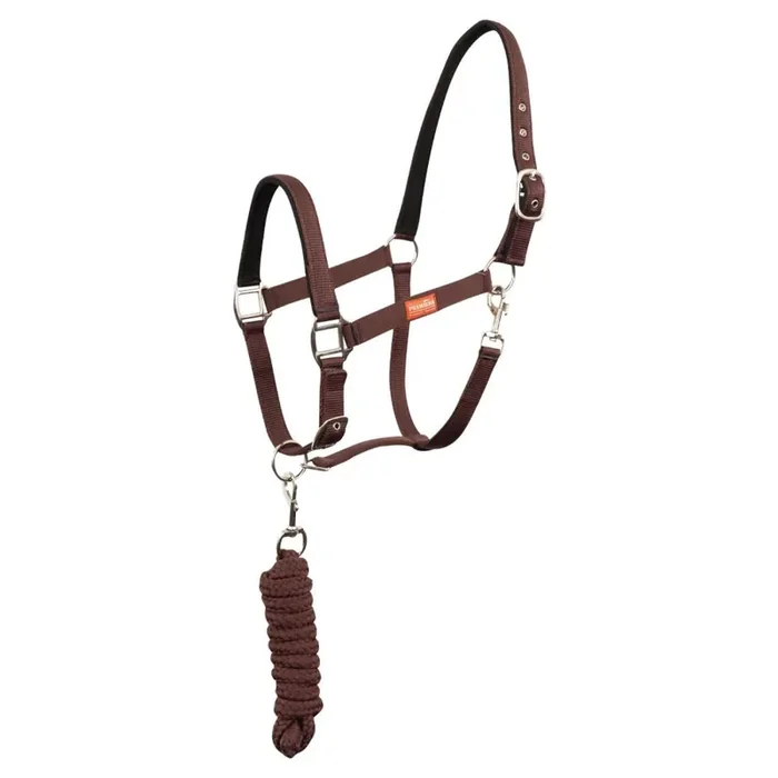 Halter and lead rope set for horse Premiere Equitation [Size Full]
