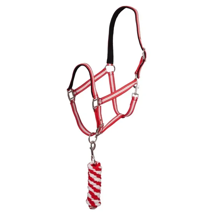 Halter and lead rope set for horse Premiere Equitation Stitch