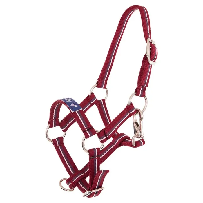 Halter for foal Premiere Equitation Fun