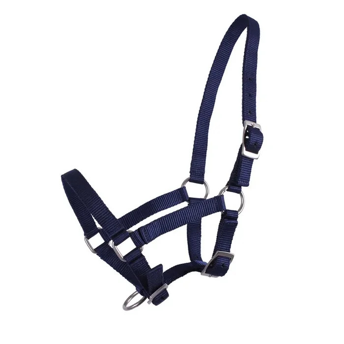 Halter for foal Q-essentials