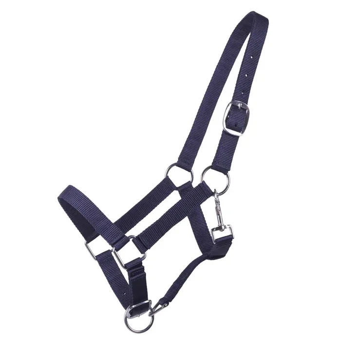 Halter for foal Q-essentials Yearling [Size Yearling]