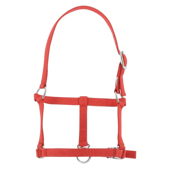 Halter for foal Riding World [Size Foal]
