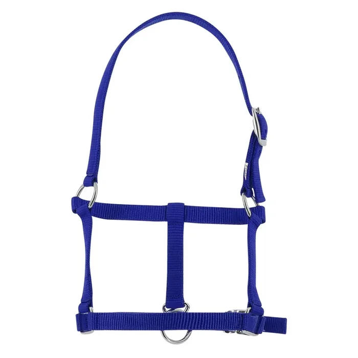 Halter for foal Riding World [Size Foal]