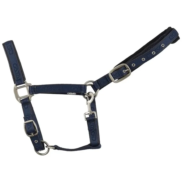 Halter for horse Catago