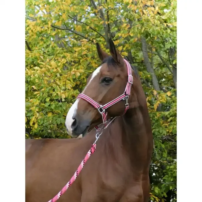 Halter for horse Equithème Ligne