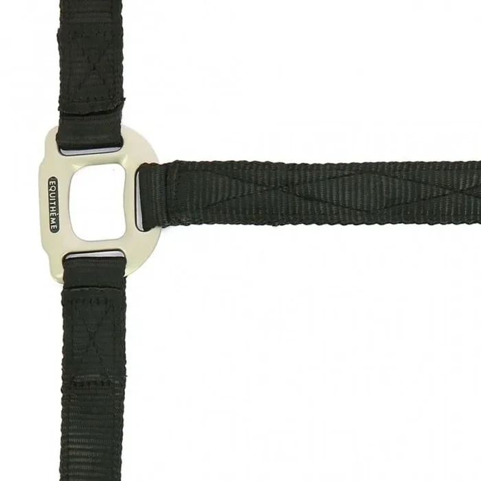 Halter for horse Equithème Nylon
