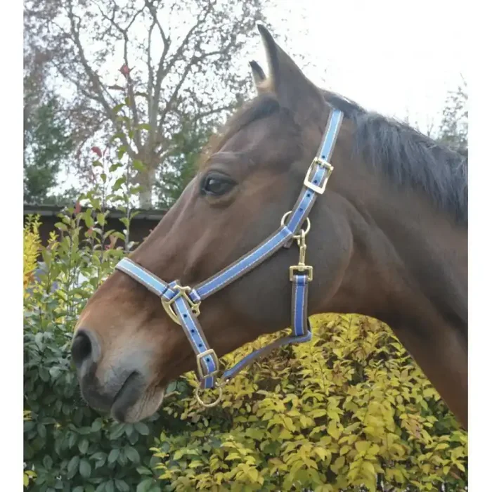 Halter for horse Equithème Polyfun
