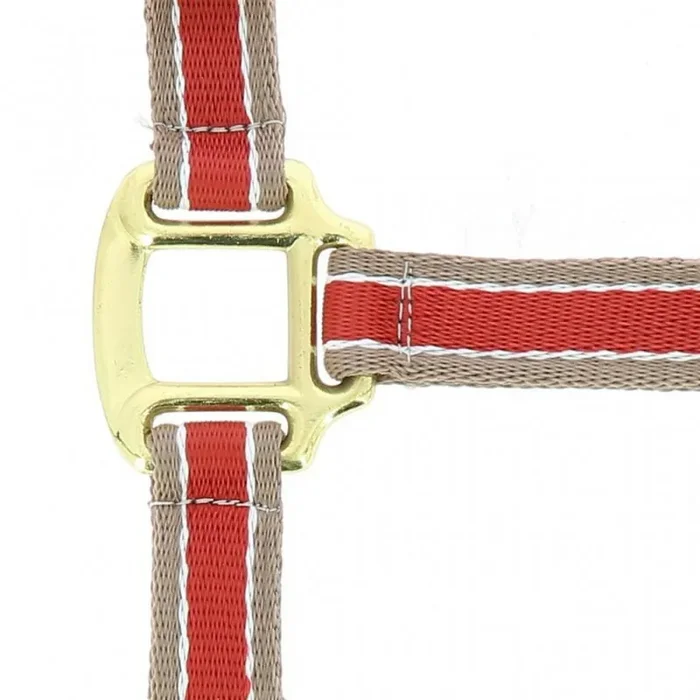 Halter for horse Equithème Polyfun