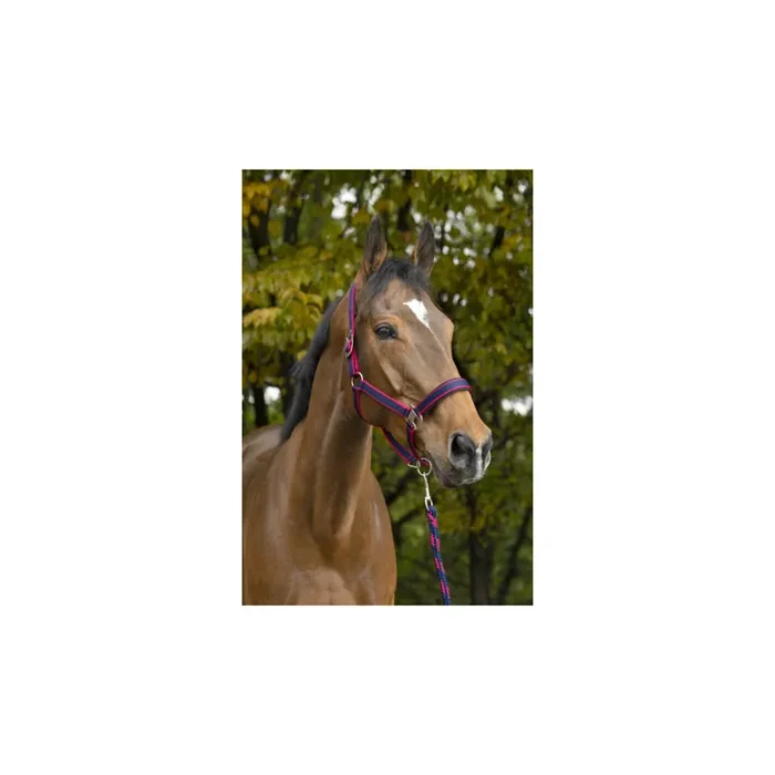 Halter for horse Equithème Satin