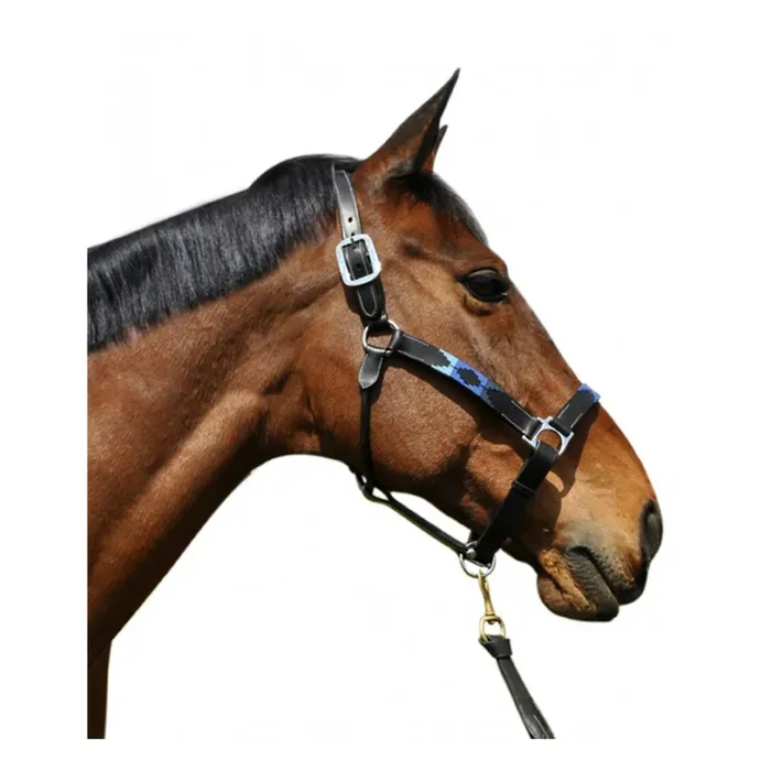 Halter for horse Flags&Cup Chukka