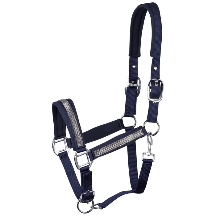 Halter for horse Harry‘s Horse Disco Fever