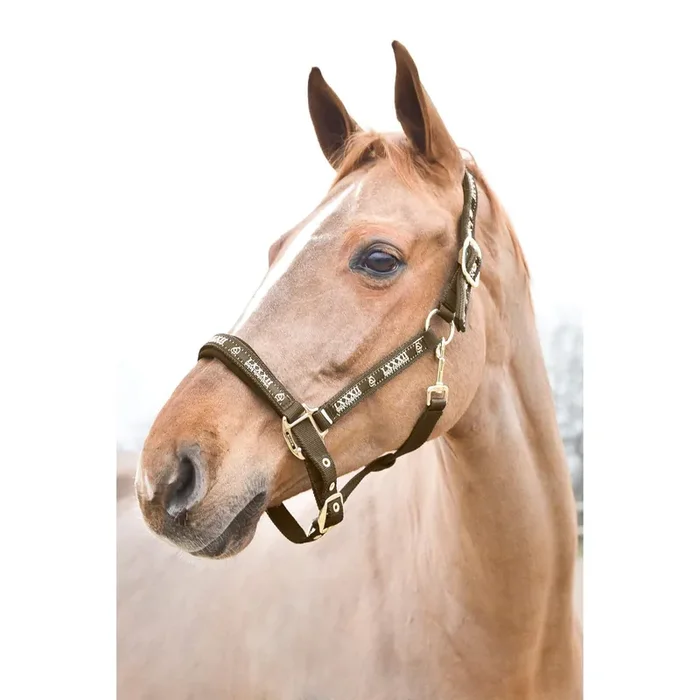 Halter for horse Horze Hamptons