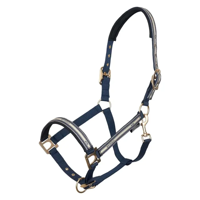 Halter for horse HV Polo Ashley
