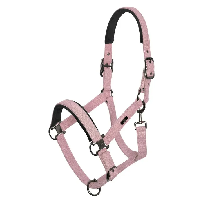 Halter for horse HV Polo Francis