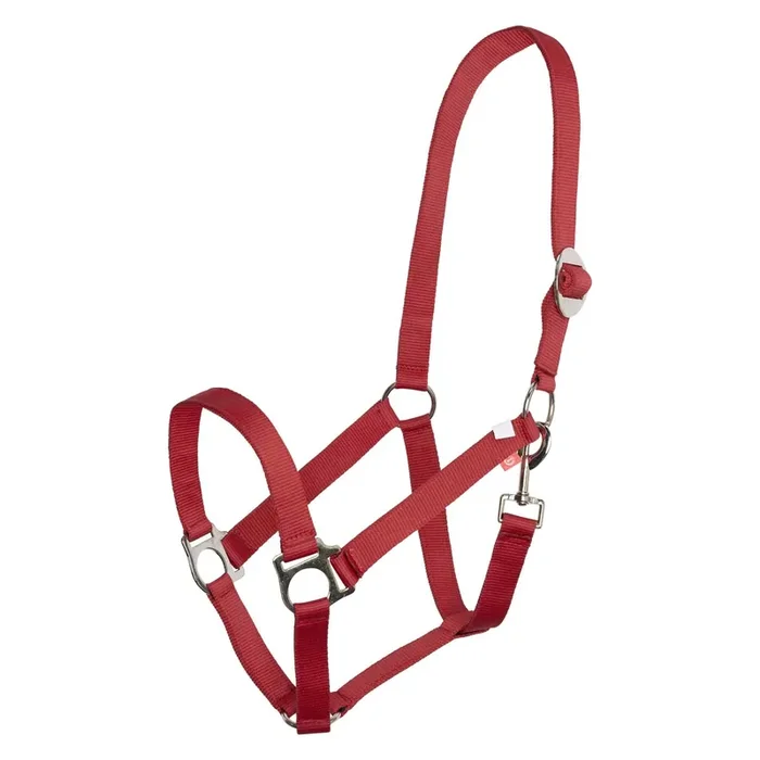 Halter for horse Imperial Riding Economic