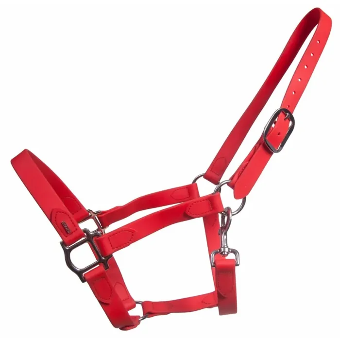 Halter for horse Karlslund [Size 36x27x5 cm]