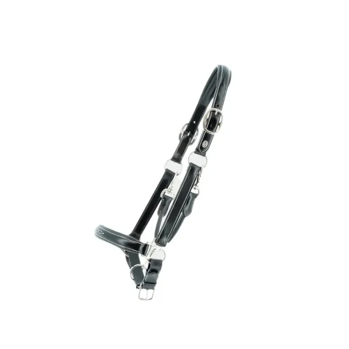Halter for horse Lexington Denver