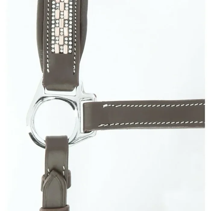 Halter for horse Norton Pro Princesse