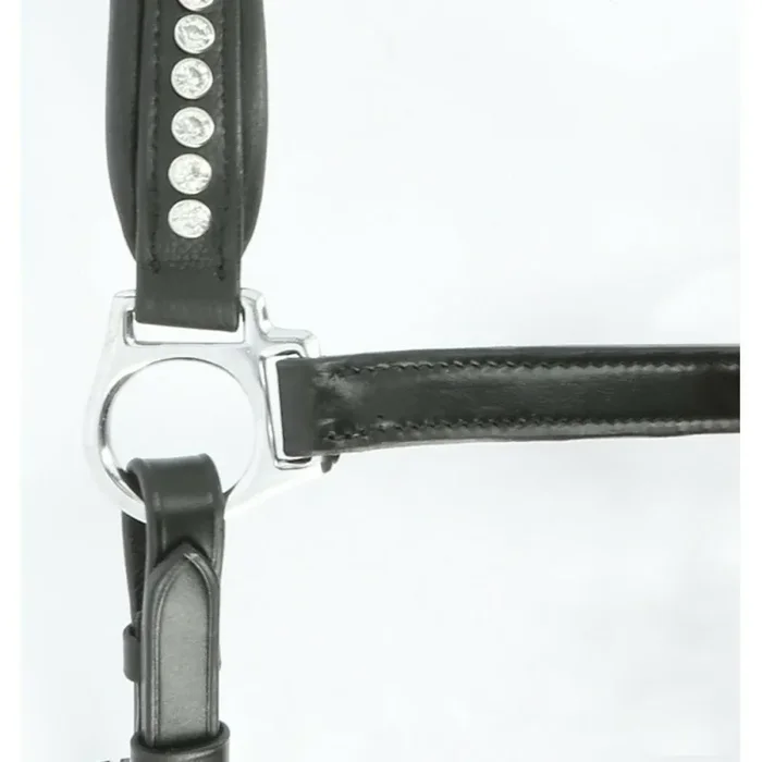 Halter for horse Norton Pro Strass