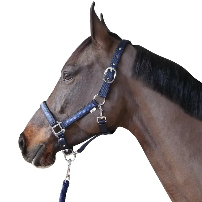 Halter + lead rope set Flags&Cup Panama