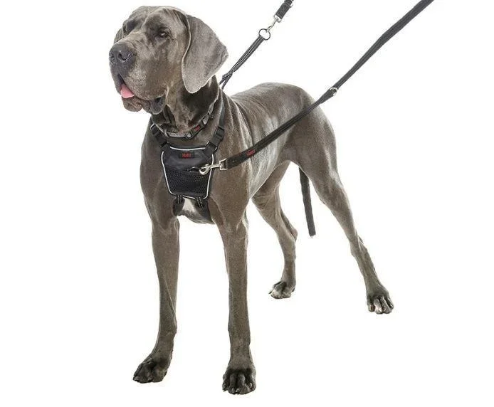 Halti – No Pull Harness