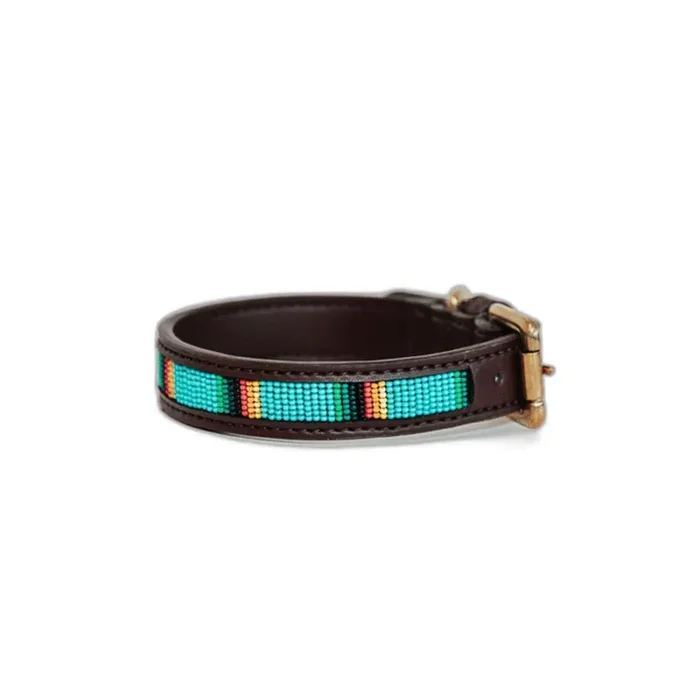 Handmade beaded dog collar Kentucky