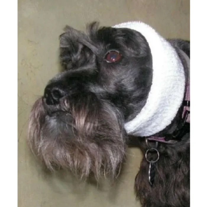Happy Hoodie Dog Snood – White