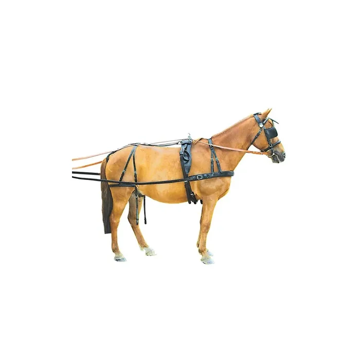 Harness Chetak Continental