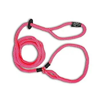 Harness Lead 6′ Small Pink