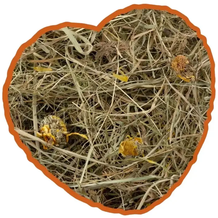 Hay ball for rodents with dandelion herbs Duvoplus [Size 1 kg]