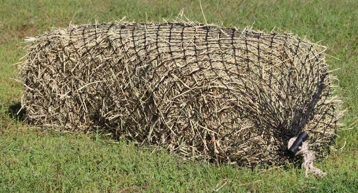 Hay Chix Heavy Duty Small Square Bale Hay Net Feeder for Horses