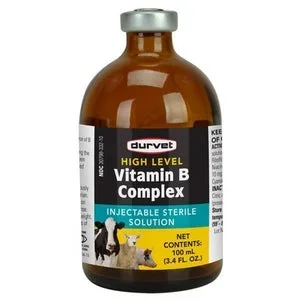 HIGH LEVEL VITAMIN B COMPLEX – 100 ML